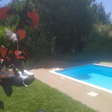 Villa Delta Wellness